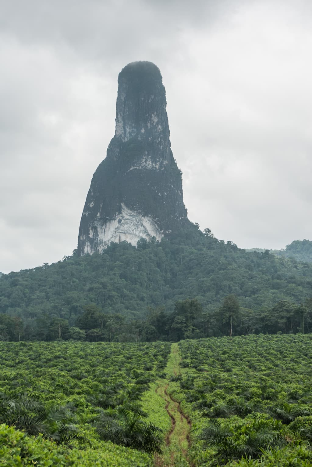 Aventura & Trekking — Conquiste o Pico — imagem 4